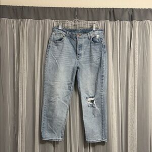 Wild Fable Light Blue Distressed Button Fly Jeans Size 14